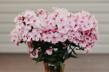 Vase with pink flowers on the wall background.