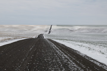 Country Road in Early Spring, WA