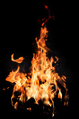 Bonfire flame isolated on black background, close up