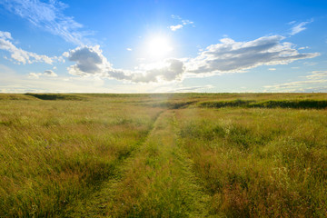 Obraz premium Evening summer landscape with green field, blue sky with clouds and sun