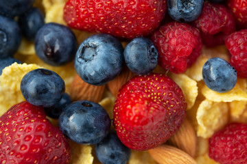 Obraz premium Healthy eating, food concept. Bowl of corn flakes and fresh berries and fresh fruits on the green grass.