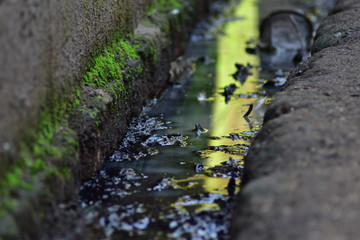 Ditches or sewers by the side of the road to drain water 
dirty and smelly