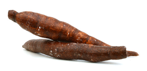 two yucca roots isolated on white background
