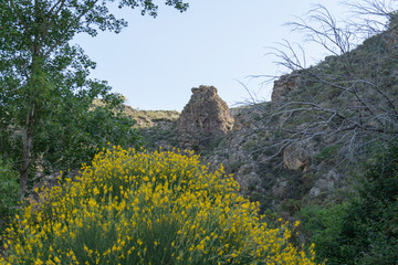 mountainous landscape in southern Spain