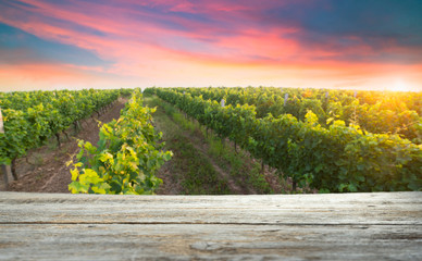 Chianti vineyard landscape in Tuscany, Italy field