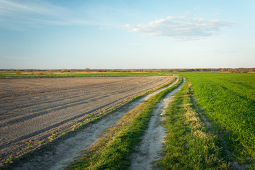 Fototapeta na wymiar A country road through fields, horizon and sky