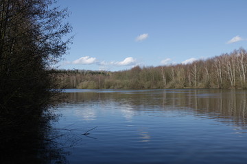 View of the lake and a tree at the edge
