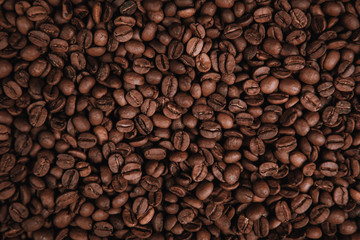 Collection of white coffee and black coffe beans