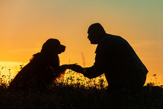 silhouette of a man and a dog,he handed the owner a paw