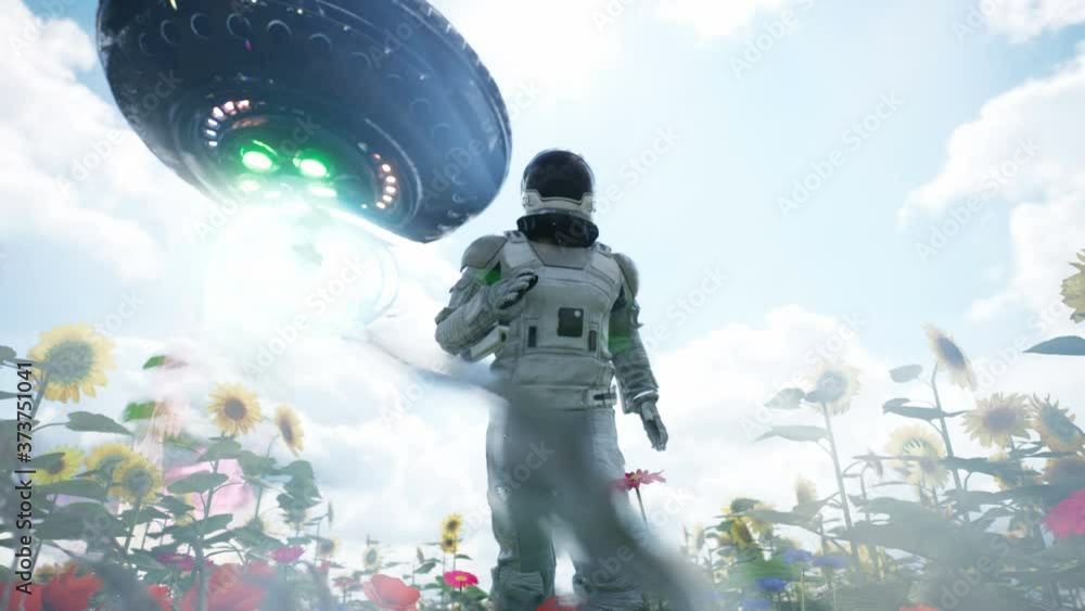 Canvas Prints an alien flying saucer chases an astronaut running through a flower field. the concept of a ufo or a