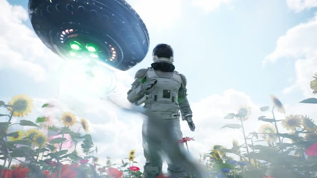 An alien flying saucer chases an astronaut running through a flower field. The concept of a UFO or alien spacecraft. Looping animation for science fiction, fantasy, or space backgrounds.