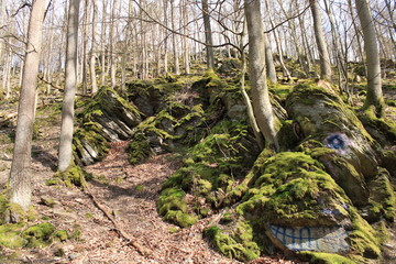 A face is painted in stones
