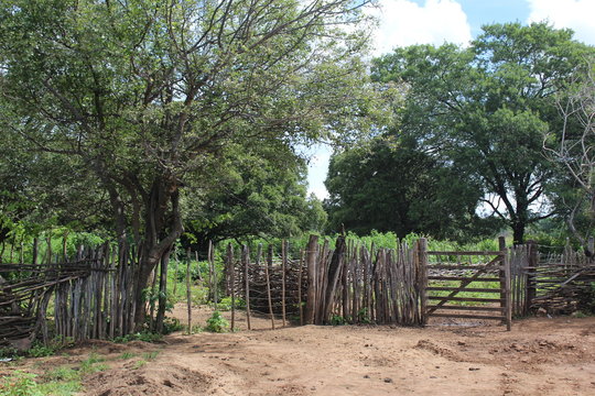 paisagem t&iacute;pica do nordeste brasileiro