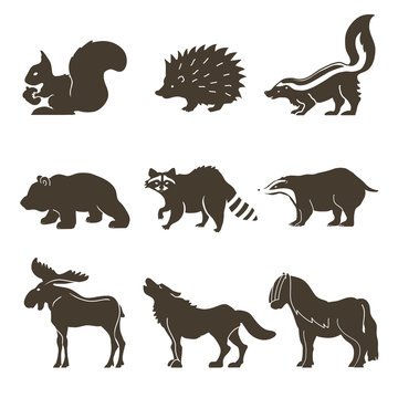 Woodland animal silhouette. Vector icons: bear, raccoon, hedgehog, moose, wolf, pony, skunk, squirrel, badger and bear.