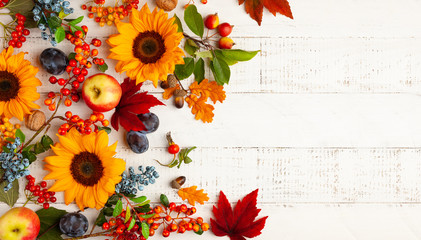 Autumn composition with sunflowers, leaves and berries on white wooden table. Flat lay, copy space....