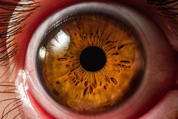 macro eyeball with brown iris