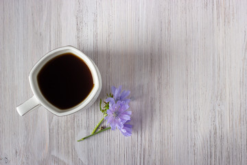 Chicory drink or coffee in white cup with chicory flower on a white wooden background. Flat lay.