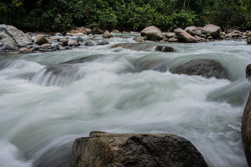 Fototapeta premium rio, agua, river, piedras, selva