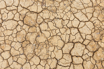 Brown dry soil or desert cracked ground texture background,land arid earth warming.