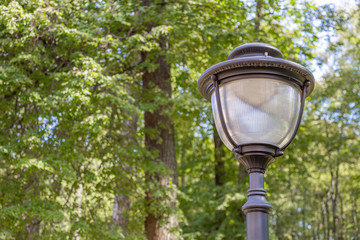 Vintage black iron lantern in a public park