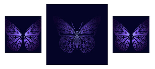 Hand-drawn decorative butterfly on a dark blue background. Botanical design. Perfect for postcards, banners, business cards, invitations. EPS 10