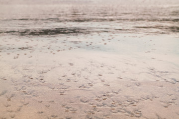 photos from a tour of Costa Rica by Manuel Antonio park 