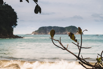 photos from a tour of Costa Rica by Manuel Antonio park 