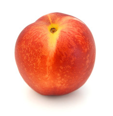 Nectarine fruit isolated on white background