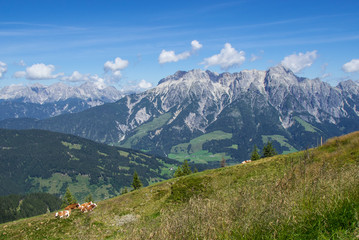 Ausblick vom Saalachtaler Höhenweg im Salzburger Land