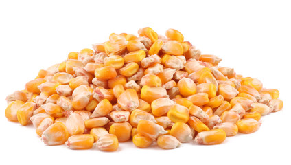 A handful of grains of corn isolated on white background