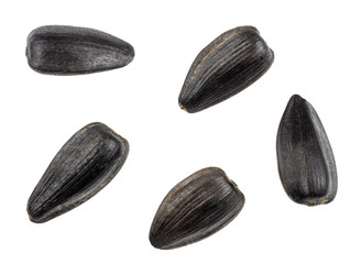 Sunflower seeds isolated on white background, top view