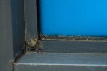 Old plastic window frame in the shower. Moldy angle, fungus. Problem areas shower.