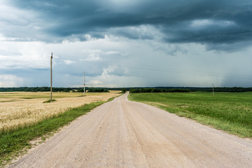 Fototapeta na wymiar Rural sandy road runs through a field sown with wheat. Large gloomy clouds of a storm cyclone. Rainy season