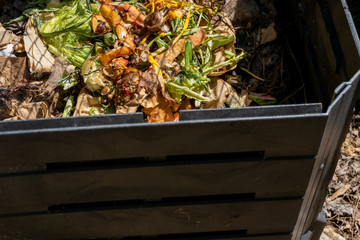 Compost in Outdoor Plastic Bin
