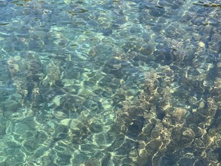 Fototapeta na wymiar coral reef in the blue sea. crystal clear water of Adriatic.