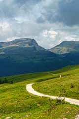 Landscape of Dolomites in Venegia valley at summer