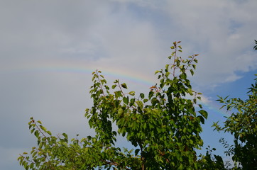 Rainbow and Sky