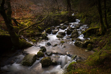 Górski potok © Aleksander