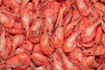 Juicy sea shrimps close up