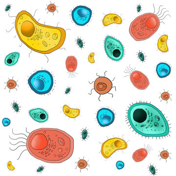 A pattern of colorful bacteria