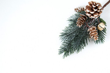 Christmas pine twig with cones on white background