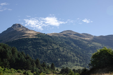 Fototapeta na wymiar Beautiful mountain landscape covered by pine trees and blue sky
