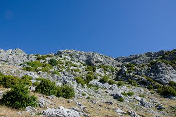 Fototapeta na wymiar Rocky and arid terrain, with many bushes