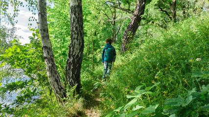 Survival techniques in the forest for children. A boy with camping equipment walks on a hiking trail in a temperate forest. Sport orienteering for children.