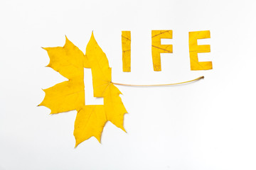 Life. Letters carved from  wedge leaves