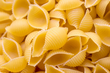 Pasta in form of shells. Background.