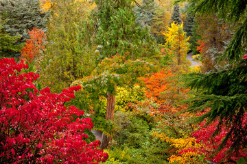 Vibrant fall colors at Kubota Garden in Seattle, WA
