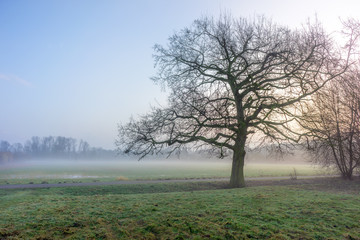 Jahreszeiten rings um Schloss Bladenhorst