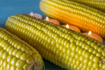 fresh corn on the table, cooking , protein diet , 