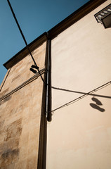 Zapatillas colgadas de un cable de tensi&oacute;n y sus respectivas sombras